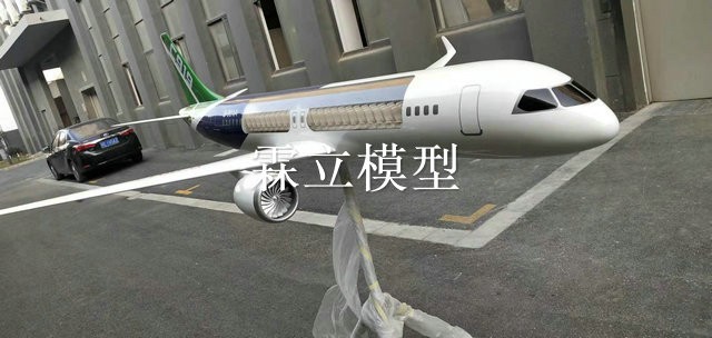 3米剖面C919飛機(jī)模型